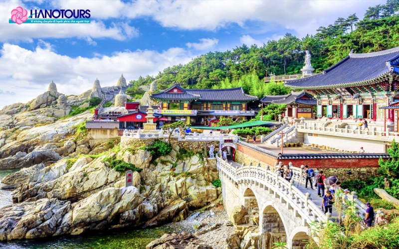 Du lịch khám phá Jeju ngay hôm nay