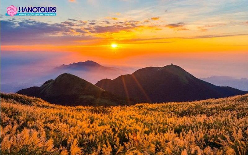 Một góc công viên Yangmingshan mùa thu