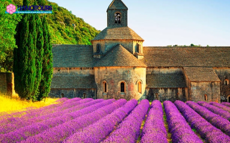 Thị trận Provence thơ mộng