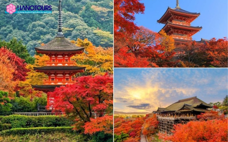 Thành phố cổ Kyoto mùa thu lá đỏ