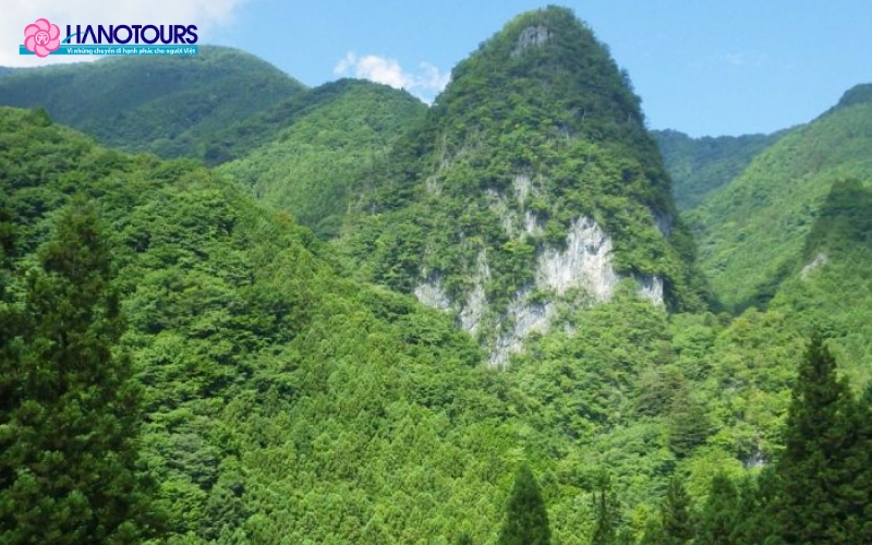 Chichibu Tama Kai luôn xanh mát, điểm xuyết những bông hoa anh đào đẹp rực rỡ