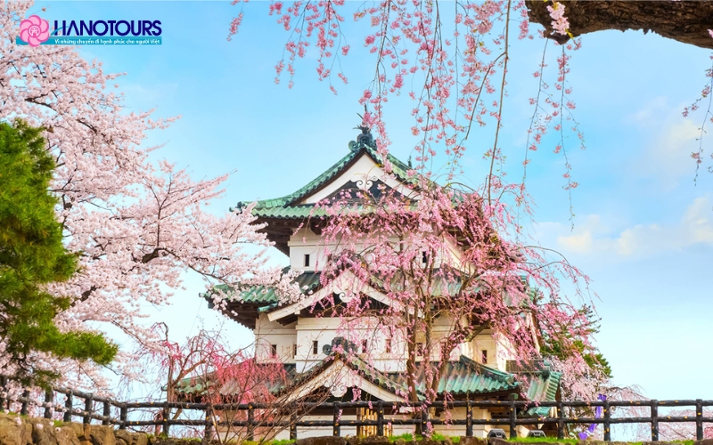 Ngắm hoa anh đào khi du lịch Osaka mùa xuân