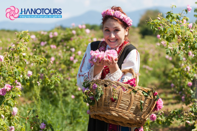 Thung lũng hoa hồng nổi tiếng Bulgaria