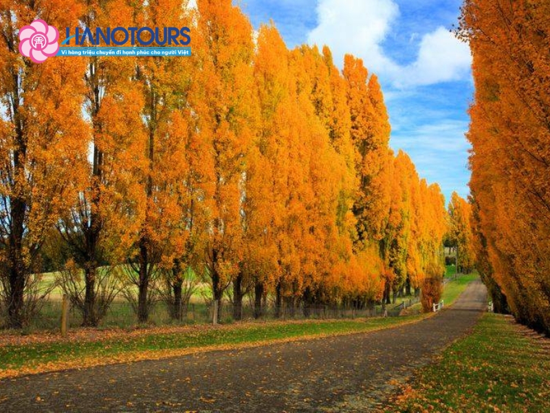 Các thị trấn và vùng ngoại ô mở ra một nước Nga mùa thu yên bình hơn