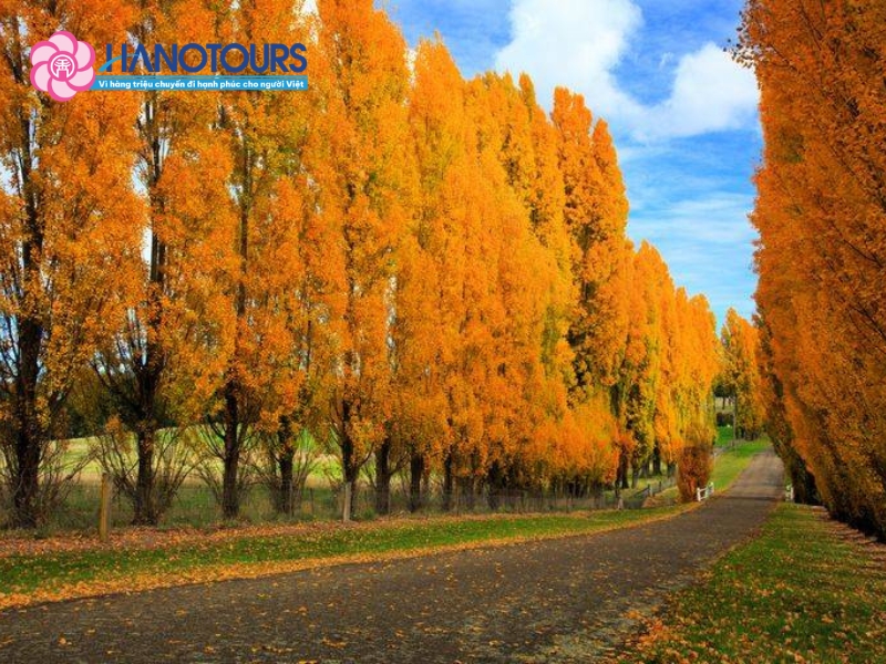 Vẻ đẹp thiên nhiên nước Nga khiến cảm xúc được giữ lại lâu hơn