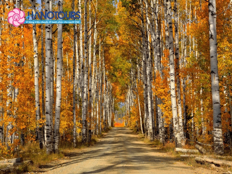 Những trải nghiệm nổi bật trong tour du lịch Nga 9 ngày 8 đêm