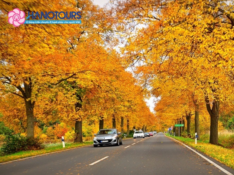 Hanotour đồng hành cùng bạn trên hành trình ngắm Thu vàng nước Nga