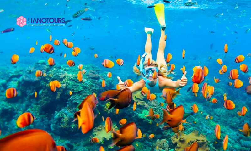 Biển đỏ rực rỡ