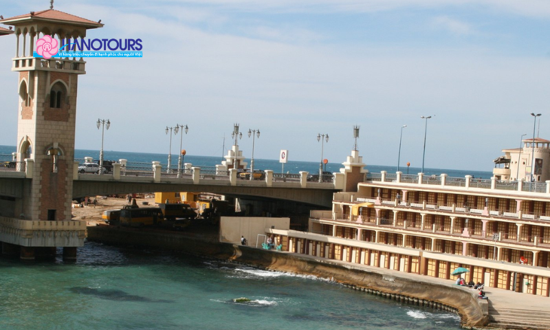 Dấu ấn Alexandria