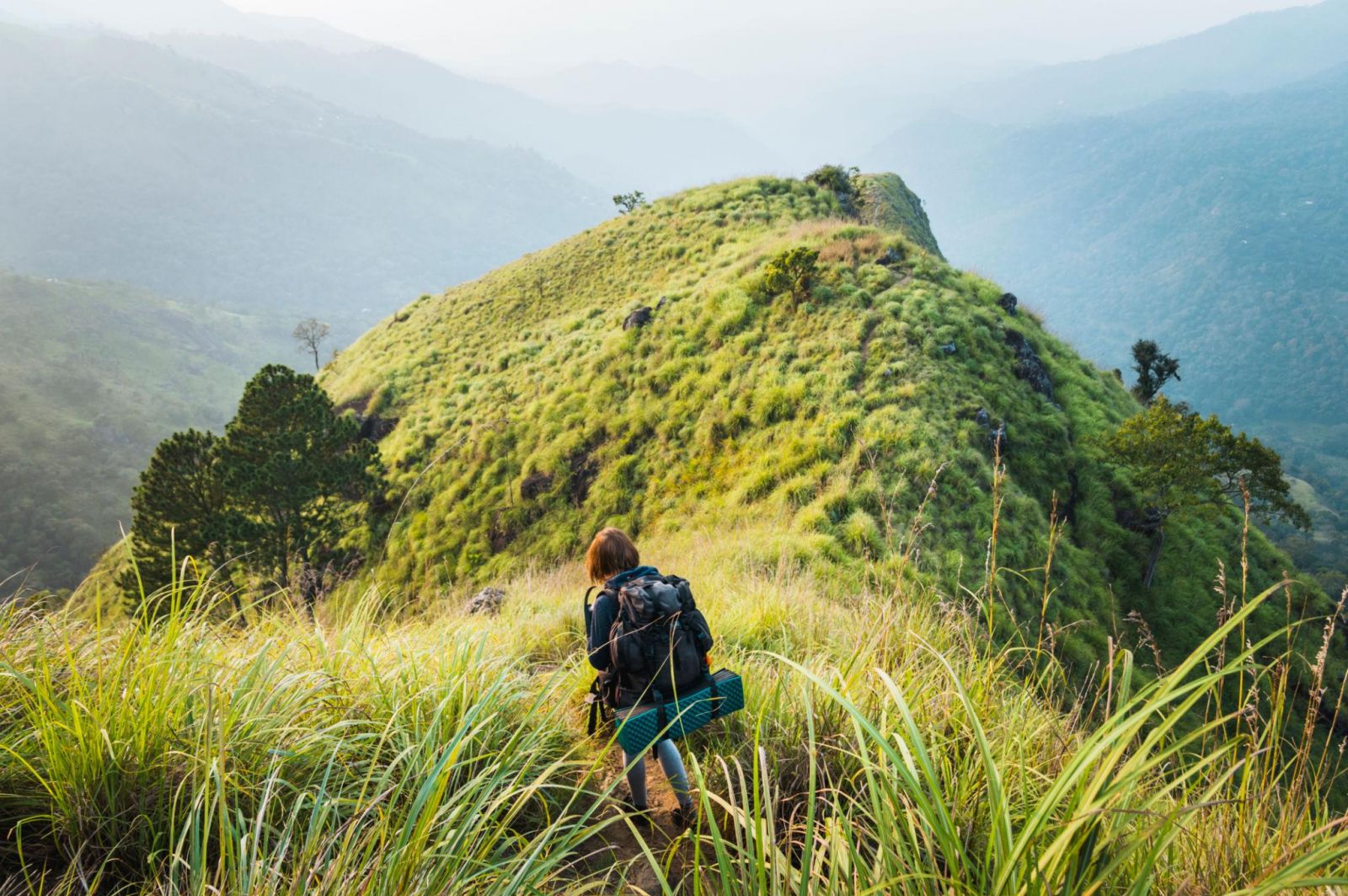 Trekking giữa thiên nhiên Ella đưa du khách băng qua những đồi chè, rừng xanh và cung đường núi với tầm nhìn rộng mở xuống thung lũng