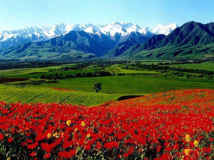 Sau những mái vòm xanh và thành phố cổ nổi tiếng, du lịch Uzbekistan vẫn còn một sắc màu rất khác ở phía đông đất nước. Đó là Thung lũng Fergana, vùng đất được bao quanh bởi những dãy núi, nổi bật với đồng ruộng màu mỡ, những khu chợ địa phương và các làng nghề truyền thống. Thung lũng Fergana ở đâu, Fergana có gì đẹp, du lịch Thung lũng Fergana có gì hấp dẫn? Bạn sẽ tìm thấy câu trả lời qua Kokand, Margilan, Rishtan và những trải nghiệm gần gũi với đời sống người Uzbekistan