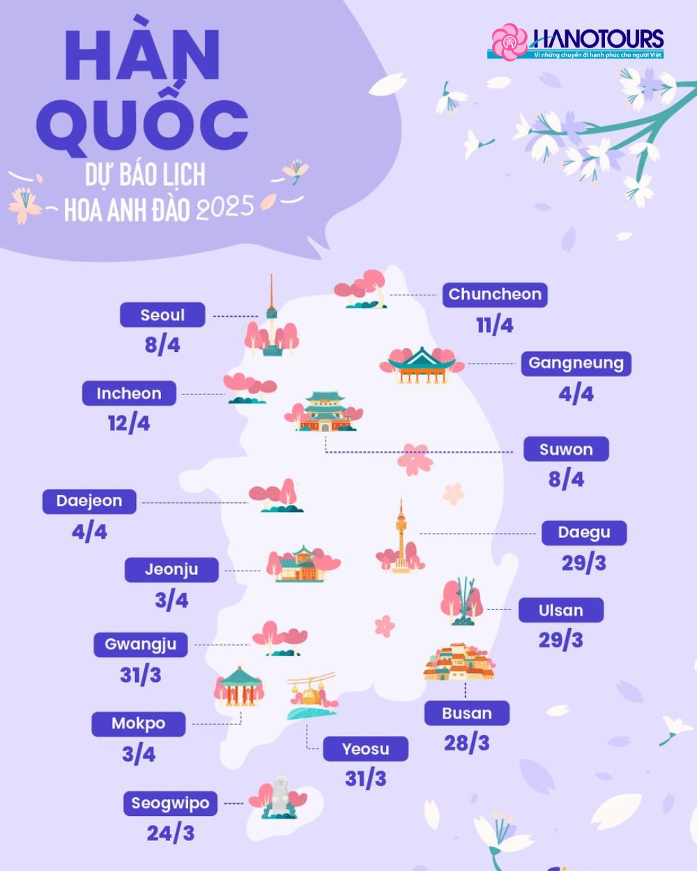 Hoa anh đào Hàn Quốc nở muộn, chủ yếu là nở từ giữa tháng 3 đến tháng 4