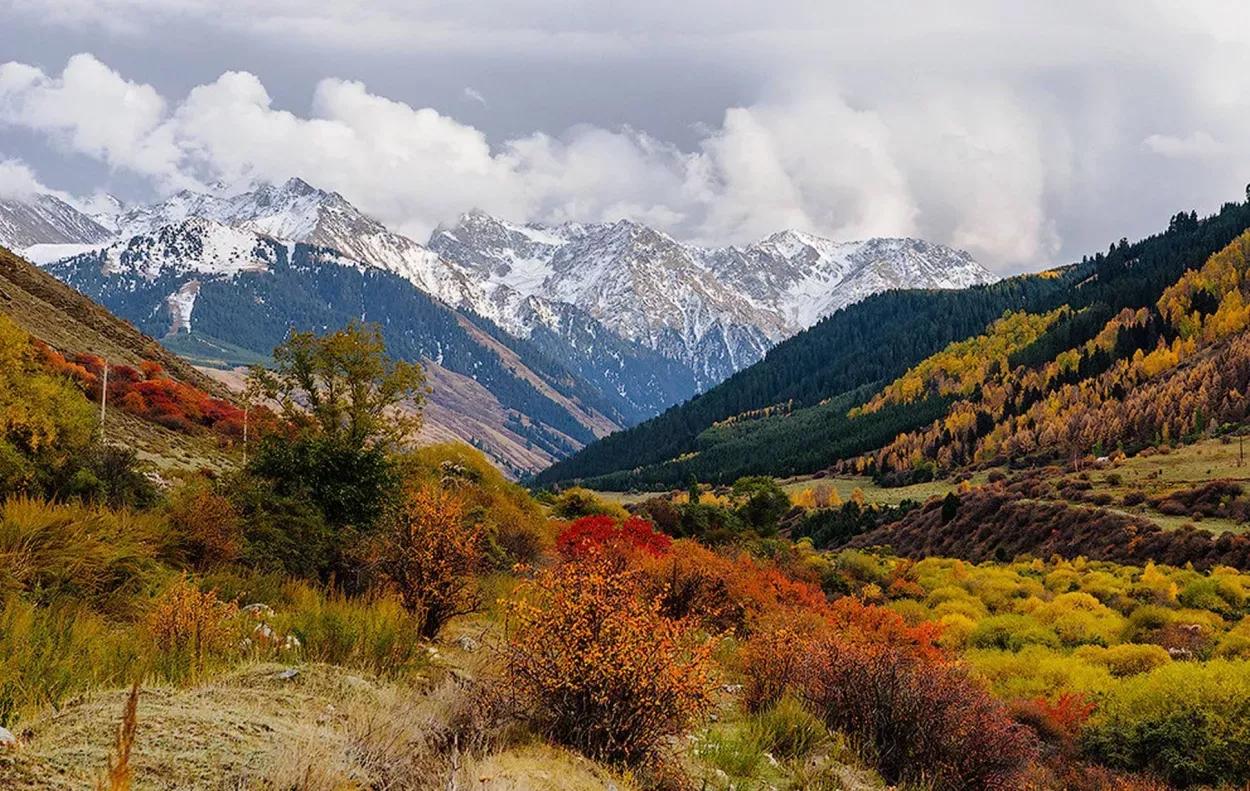 Chiêm ngưỡng mùa thu Kyrgyzstan khi sắc vàng trải dài khắp những thung lũng dưới chân dãy Thiên Sơn