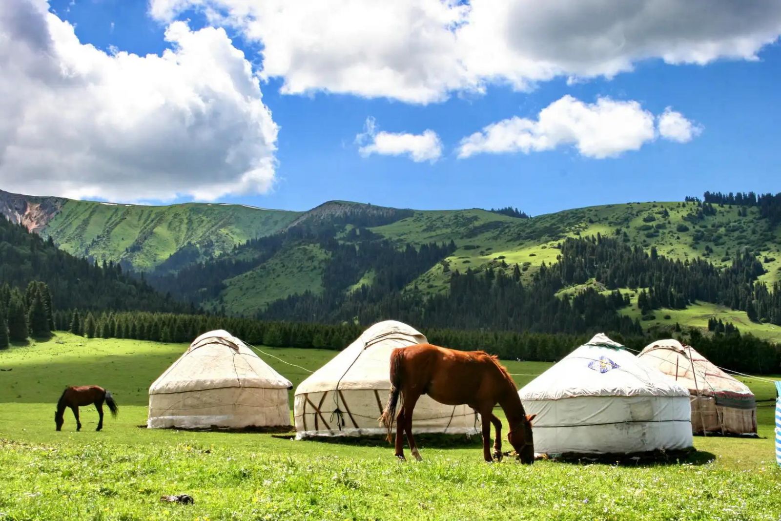 : Khám phá Jyrgalan để tìm thấy những điểm dừng chân hoang sơ giữa thung lũng xanh và núi rừng Kyrgyzstan