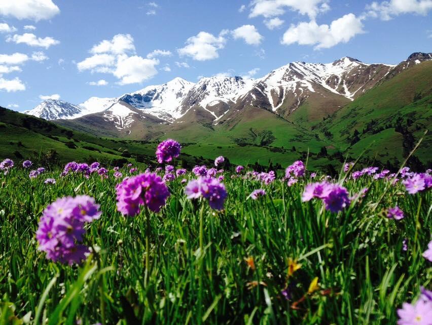 Ghé Jyrgalan vào mỗi mùa để cảm nhận một sắc thái riêng của thung lũng và núi rừng Kyrgyzstan