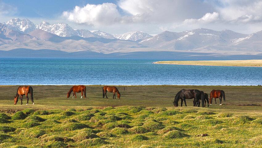 Khám phá vẻ đẹp Kyrgyzstan qua bốn mùa, nơi mỗi thời khắc đều mang đến những sắc màu thiên nhiên riêng biệt