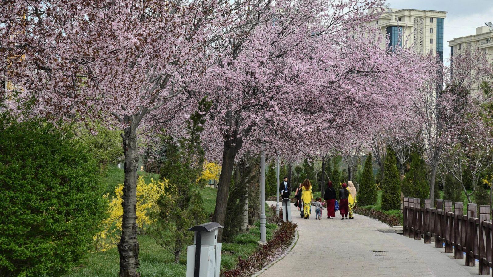 Dushanbe vào những ngày trời dịu mát mang đến hành trình thư thả giữa công viên xanh và những công trình đặc trưng của thủ đô