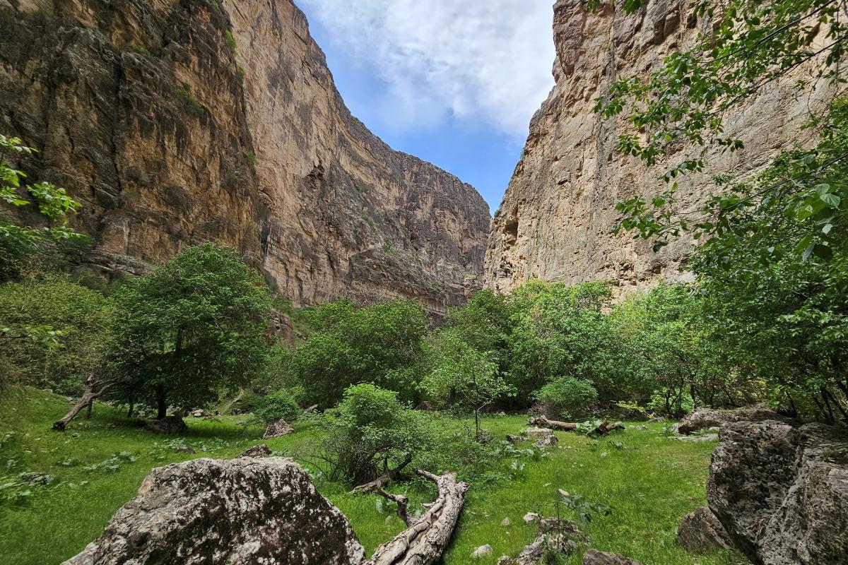 Mỗi dấu chân trên Dinosaur Plateau là một dấu tích đặc biệt còn sót lại từ thế giới hàng triệu năm trước