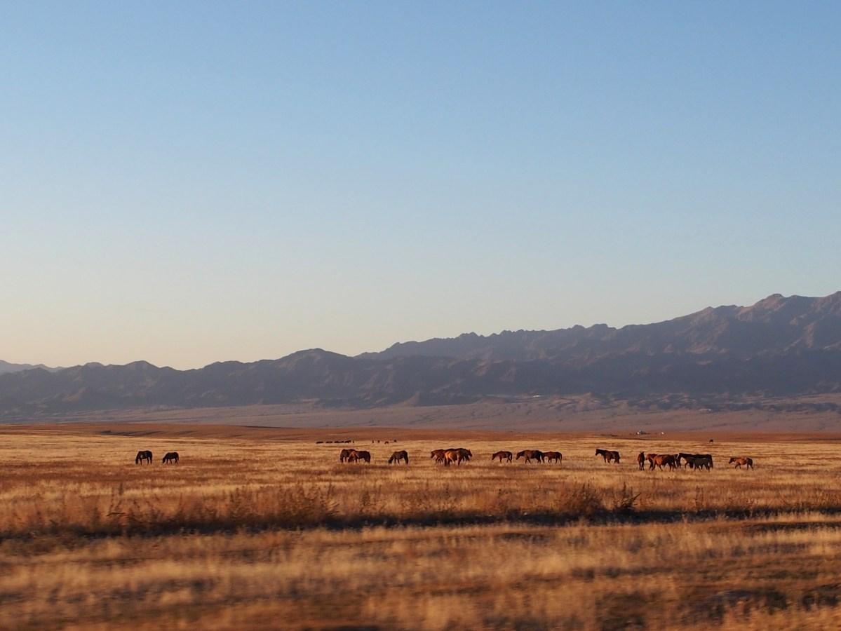 Thảo nguyên Kazakhstan trải dài bất tận dưới bầu trời Trung Á