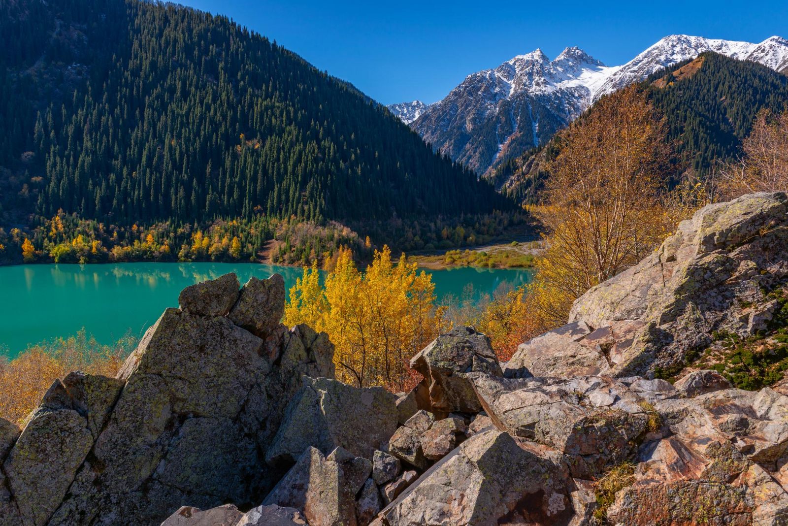 Mùa thu nhuộm Kazakhstan trong những gam vàng đầy mê hoặc