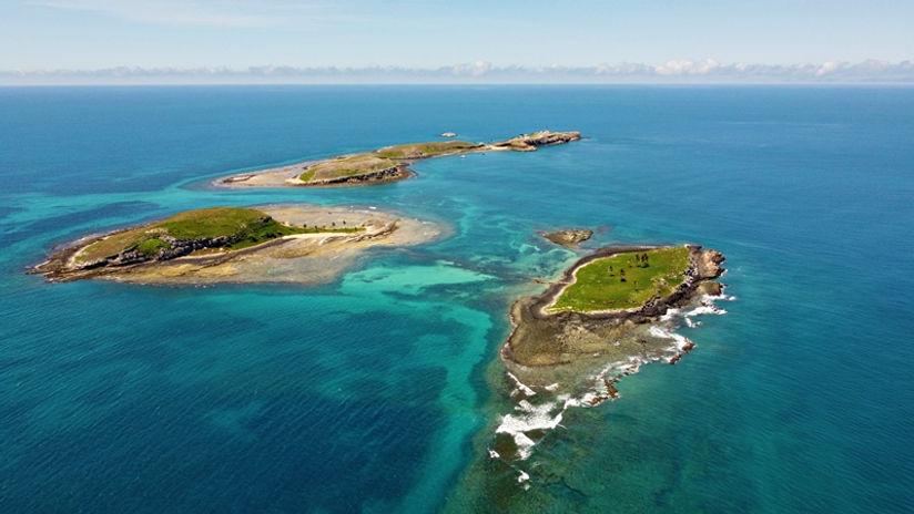Abrolhos gìn giữ vẻ đẹp nguyên sơ của đại dương, nơi thiên nhiên biển Brazil hiện lên sống động và đầy mê hoặc