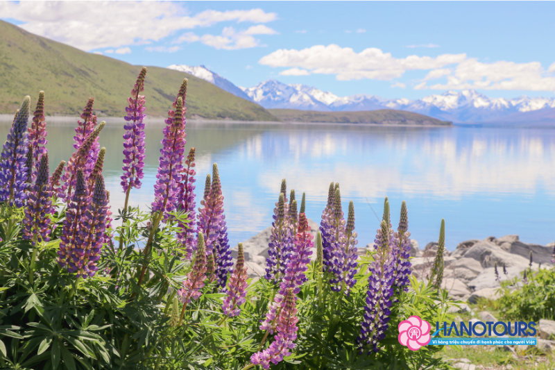 Hồ nước trong xanh với hình dáng uốn lượn độc đáo, được bao quanh bởi dãy Remarkables hùng vĩ