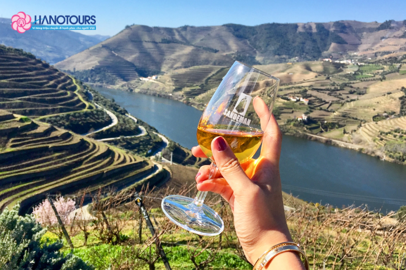 Rượu vang Porto – Biểu tượng ẩm thực quốc gia