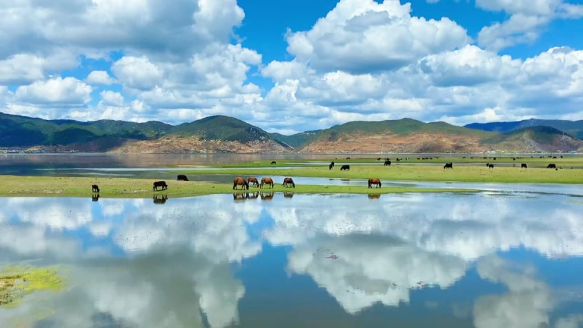 Hồ Napa là hồ nước ngọt theo mùa nổi tiếng của Shangri-La.