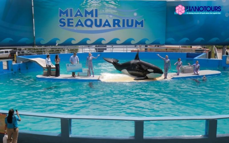 Thủy cung Miami