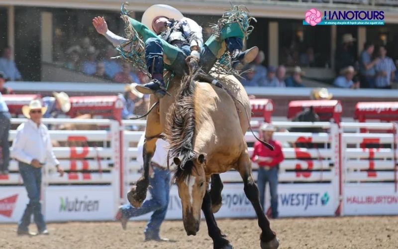 Rodeo – Điểm nhấn của lễ hội