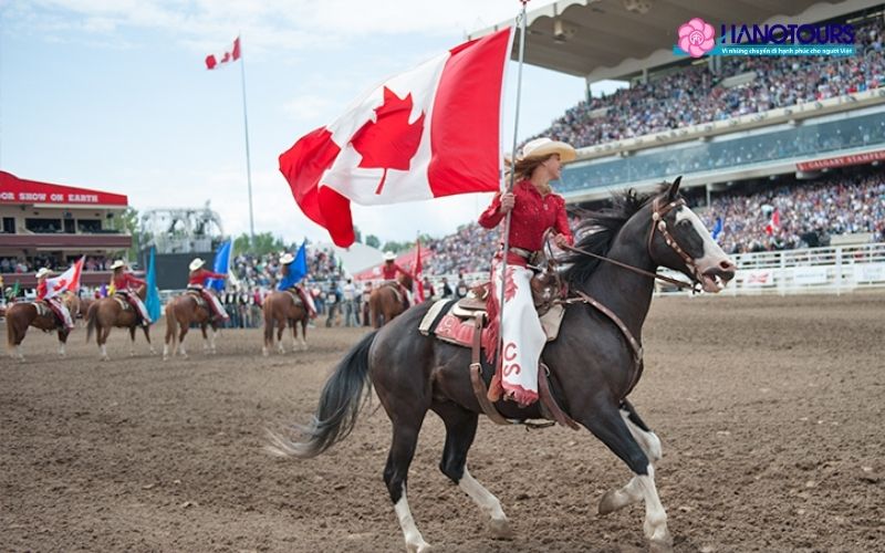 Những lưu ý khi tham gia Lễ hội Calgary Stampede