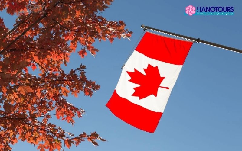 Gợi ý địa điểm mua SIM du lịch Canada