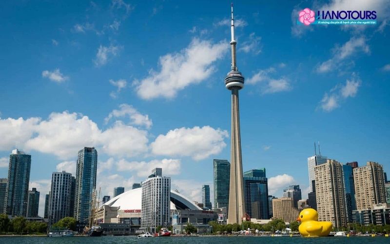 Tháp CN nằm ở đâu?