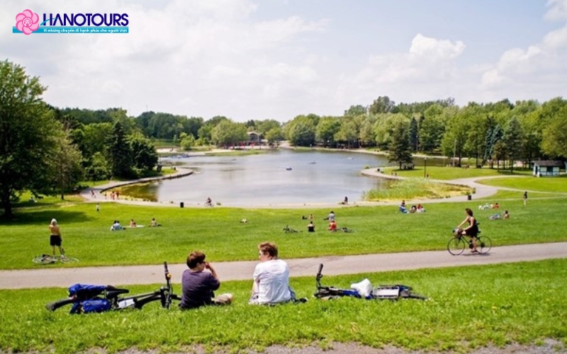 Công viên Tiergarten được ví như lá phổ xanh của thành phố