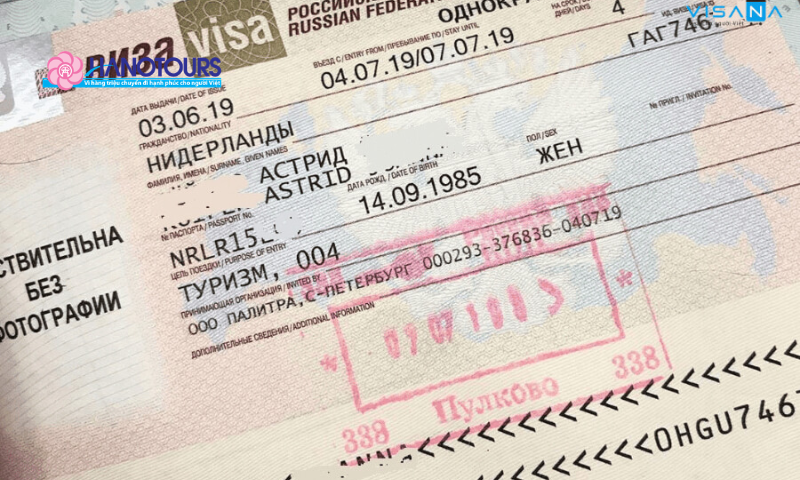 Visa Nga gồm những thông tin