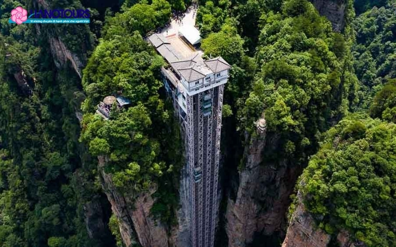 Thang máy Bách Long