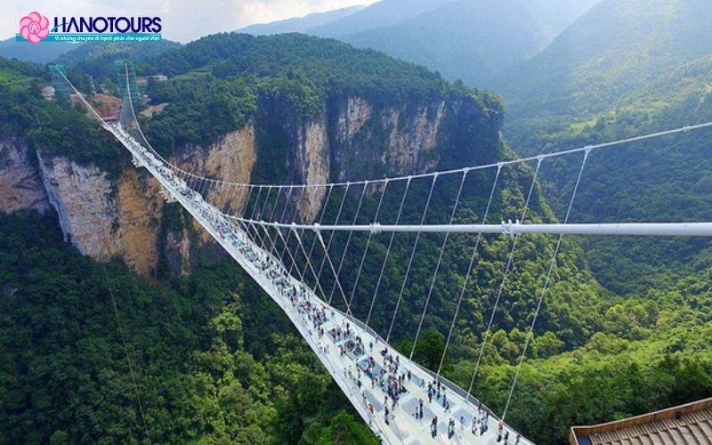 Cầu kính Trương Gia Giới Trung Quốc ở đâu?