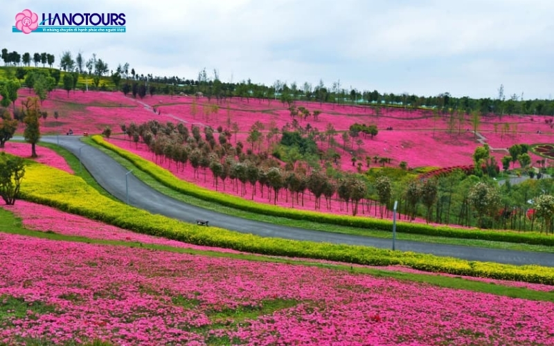 Công viên sinh thái Thái Bình Hồ