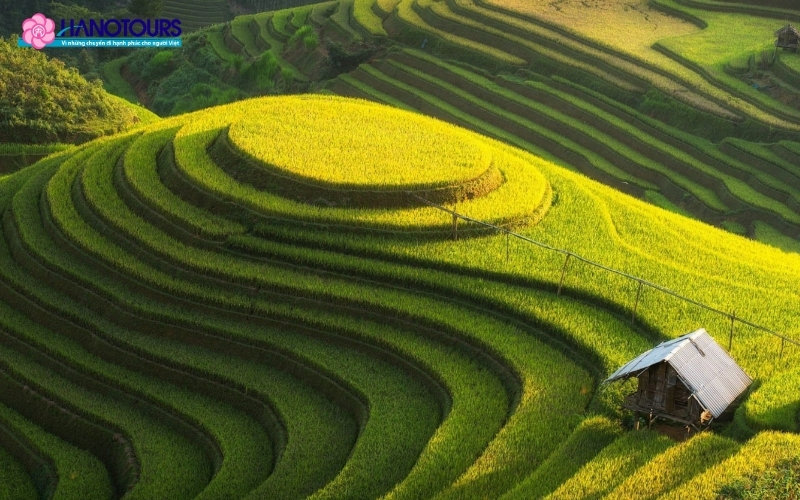 Ruộng bậc thang Long Tích