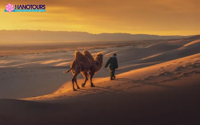 Đôi nét về sa mạc Gobi - Sa mạc lớn nhất châu Á