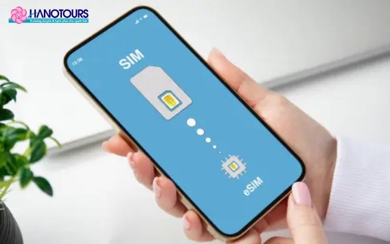 Nên mua SIM du lịch Trung Quốc của nhà mạng nào?
