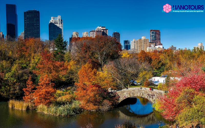 New York Mỹ vào tháng 11