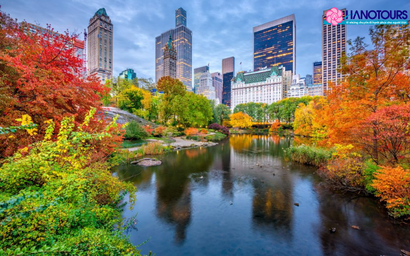 Những điểm đặc biệt thu hút du khách đến Mỹ du lịch vào tháng 11