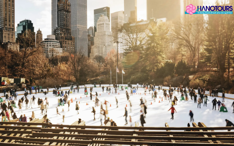 Central Park, New York vào mùa đông