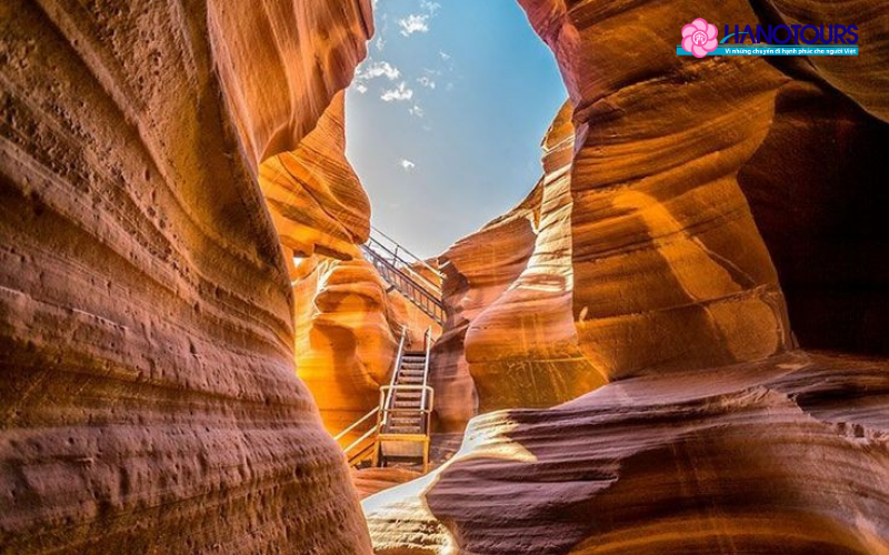 Sự độc đáo của tạo hoá