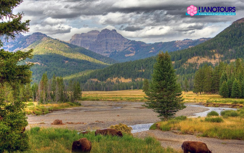 Thời gian đẹp nhất để du lịch vườn quốc gia Yellowstone là từ tháng 4 đến tháng 10