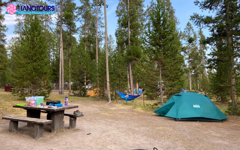 Cắm trại và tham quan Yellowstone Lake
