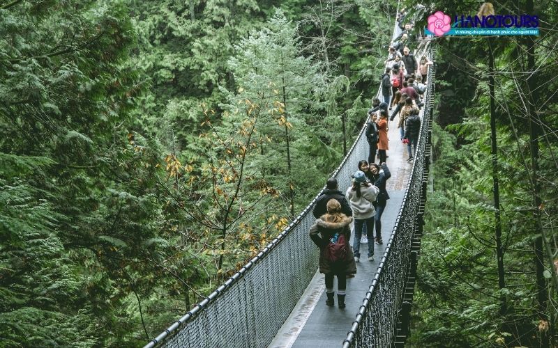 Những lưu ý khi tham quan cầu treo Capilano