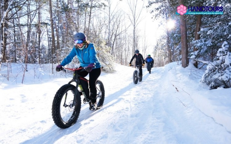 Đạp xe địa hình (mountain biking)