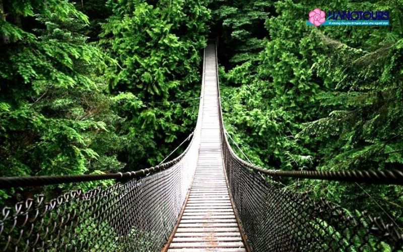 Cầu Treo Capilano